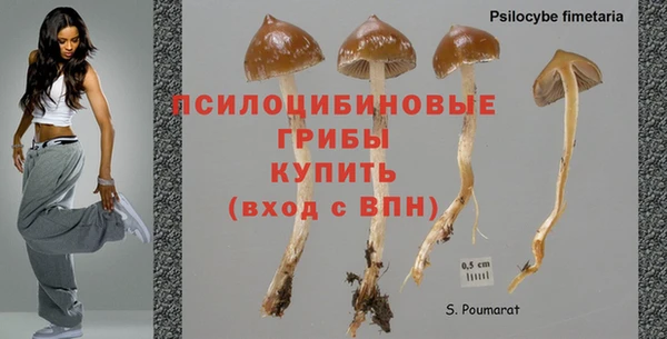 а пвп мука Абинск