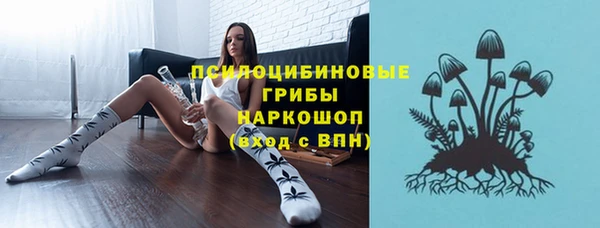 прущая мука Абаза