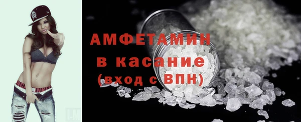 индика Гусь-Хрустальный