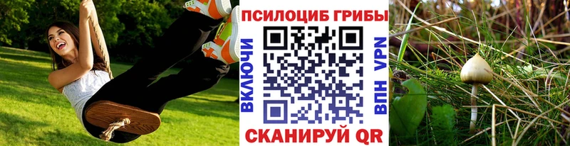 даркнет сайт блэк спрут ТОР Галлюциногенные грибы Psilocybine cubensis Шумерля
