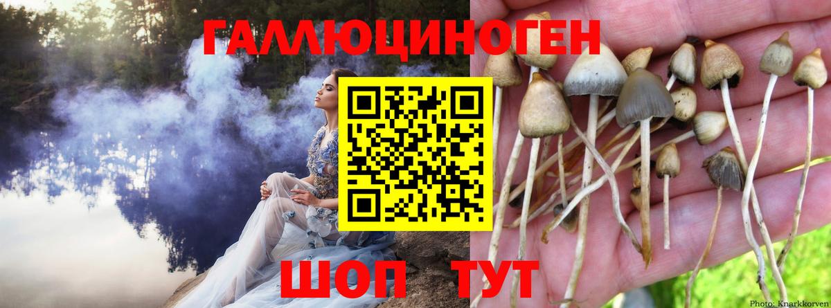 Галлюциногенные грибы GOLDEN TEACHER Шумерля