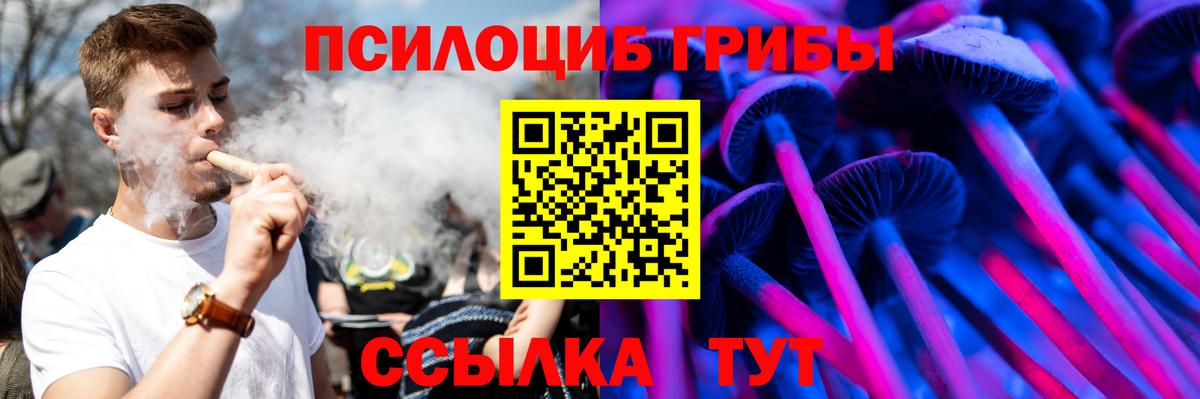 Галлюциногенные грибы Psilocybe  Галлюциногенные грибы GOLDEN TEACHER  Вход с VPN  Шумерля 